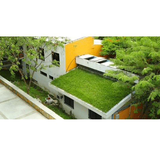 Mexicans create green roofs that cool more than 15º