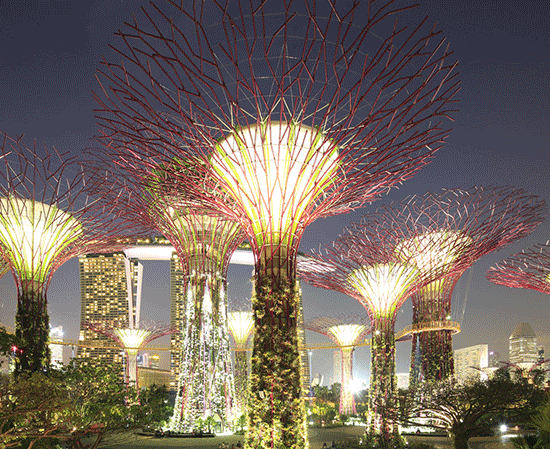 Gardens by the Bay Supertrees5