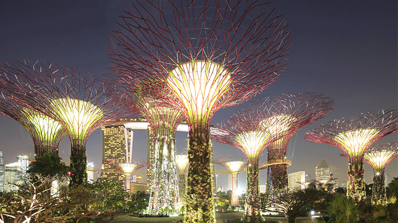 Gardens by the Bay Supertrees5